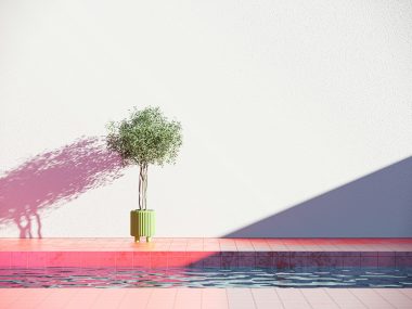 a potted plant sitting next to a pool of water